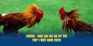 Giới thiệu nhà cái đá gà uy tín Jun88